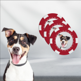 Ball Markers With Pet Photo (4-Pack)