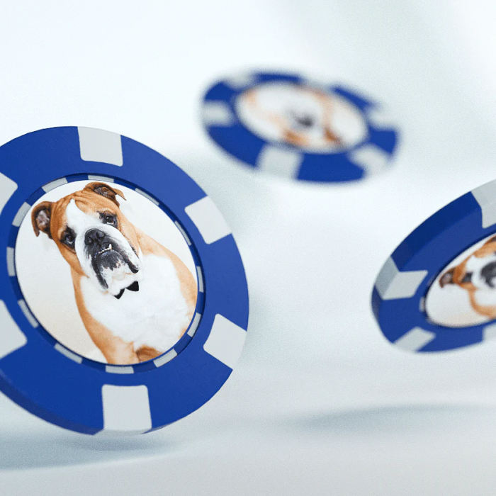 Ball Markers With Pet Photo (4-Pack)