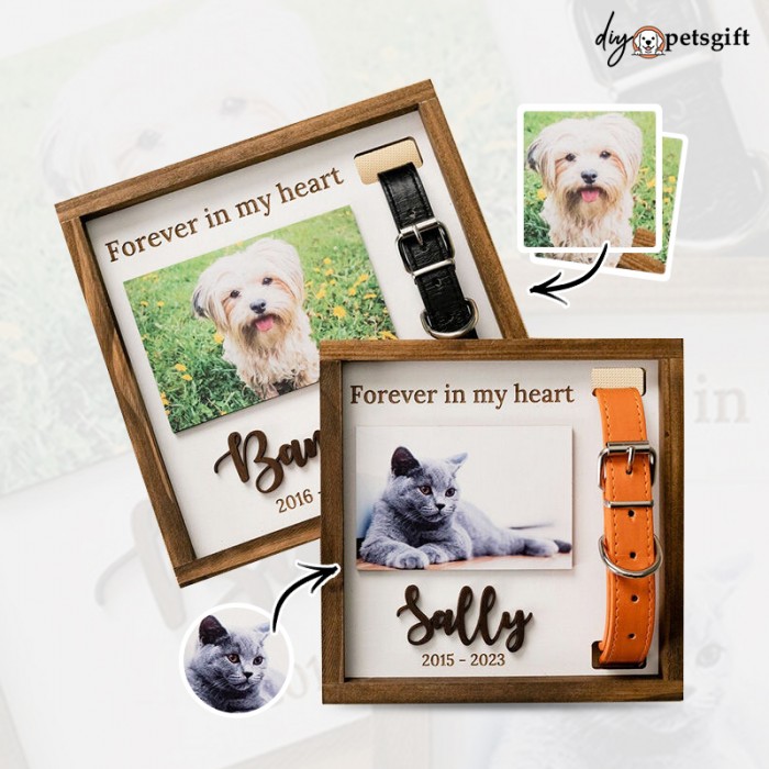 Custom Memorial Gift Personalized Pet Collar Photo Frame For Cute Dog Or Cat