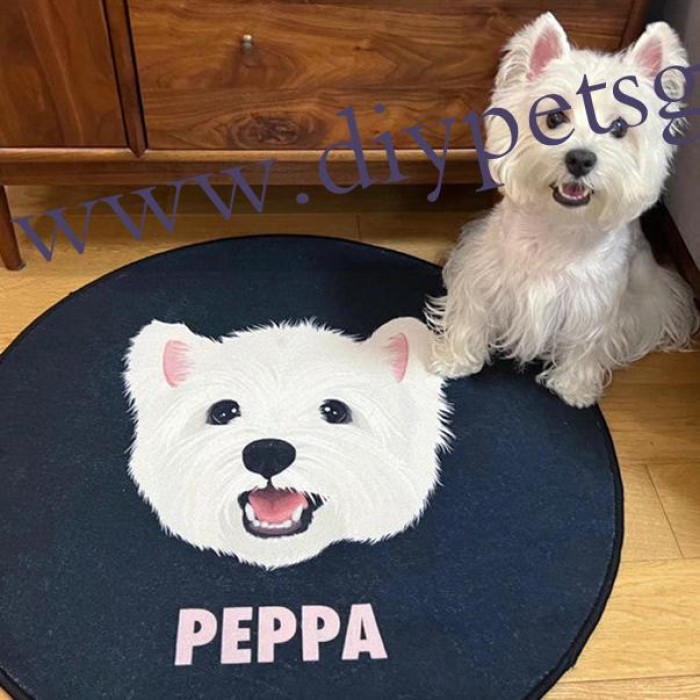 Custom Pet Portrait Rug Pet Portrait With Photo Name Hand Tufted Personalized Cat And Dog Portrait Rugs