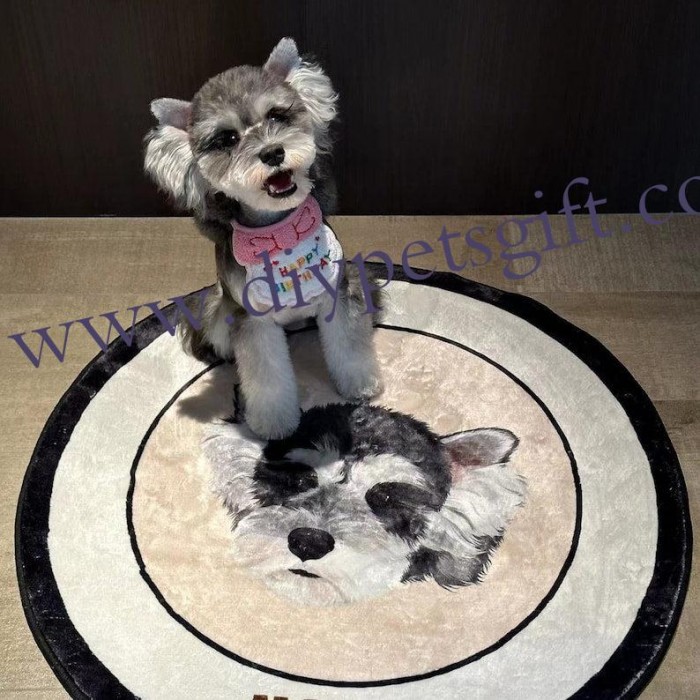 Personalized Funny Pet Photos Decorative Rugs Custom Pet Portrait Carpet Gifts For Pet Lovers