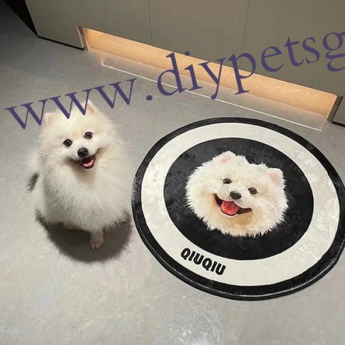 Personalized Funny Pet Photos Decorative Rugs Custom Pet Portrait Carpet Gifts For Pet Lovers